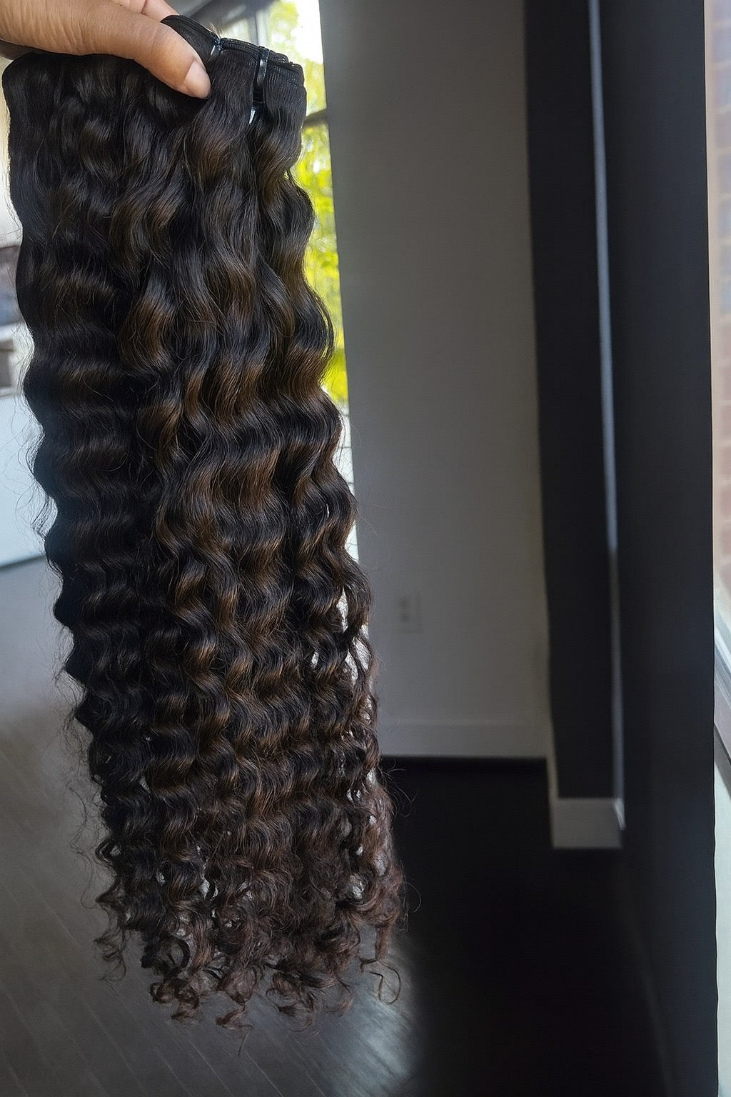 SBL Burmese curls